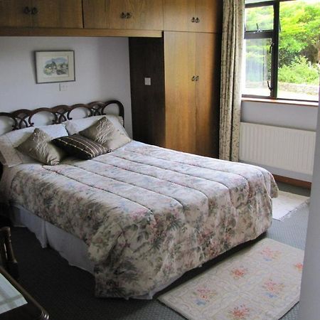 An Dooneen Bed and Breakfast Dingle Esterno foto